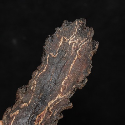 内蒙古阿拉善肉苁蓉 新疆软质肉苁蓉锁阳男性泡酒 中药材大芸切片图3