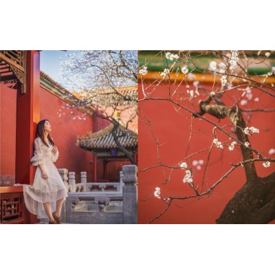 故宫博物院The Palace Museum图4