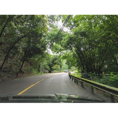 川西竹海景区Bamboo Canyon Scenic Area (Jinji Valley)图4