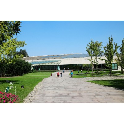 金沙遗址博物馆Jinsha Site Museum图2