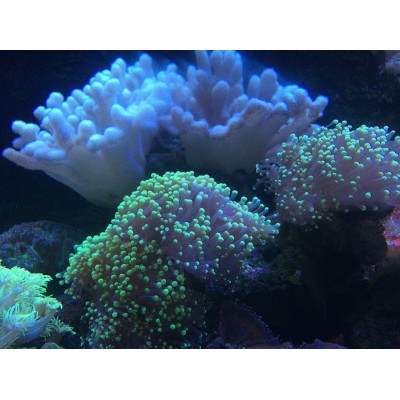 长沙海底世界Changsha Sea World图3