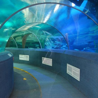 长沙海底世界Changsha Sea World图2