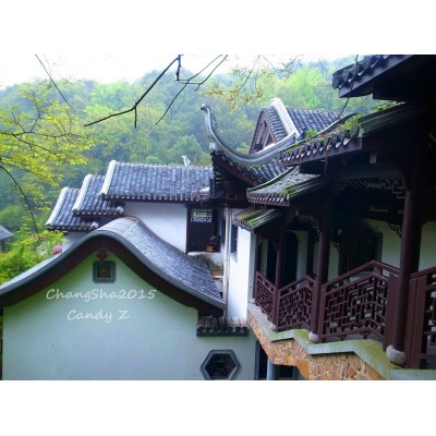 岳麓书院Yuelu Academy图2