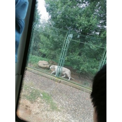 长沙生态动物园Changsha Ecological Zoo图4