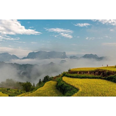 天门山国家森林公园图4