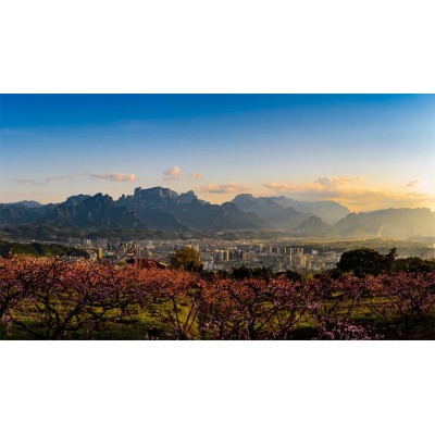 天门山国家森林公园图2