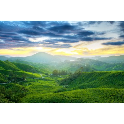 莫干山风景名胜区图4
