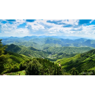 莫干山风景名胜区图2