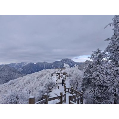 西岭雪山图2