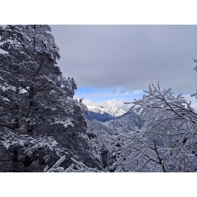 西岭雪山图4