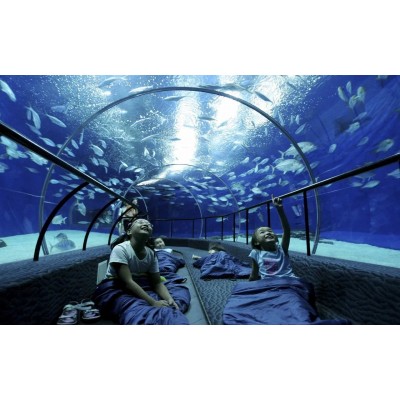 上海海洋水族馆4A图3