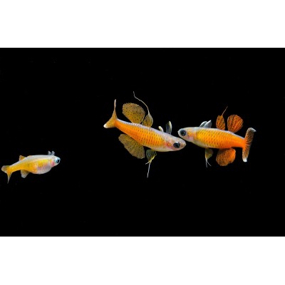 上海海洋水族馆4A图5