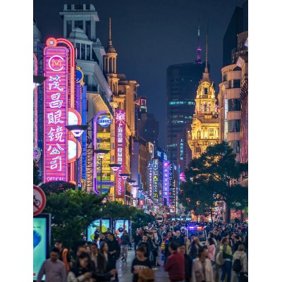 南京路步行街图4