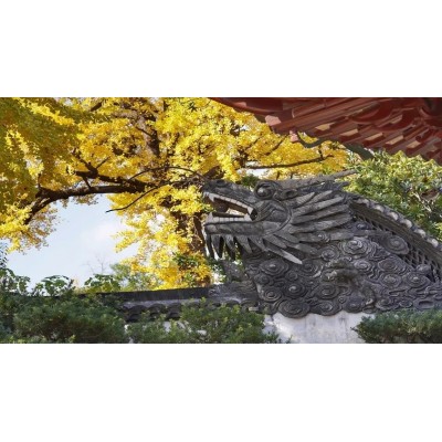 豫园4A图2