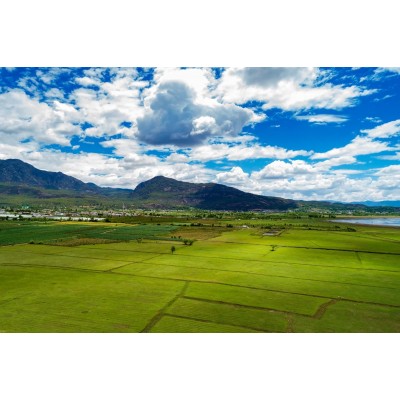 拉市海湿地公园图3