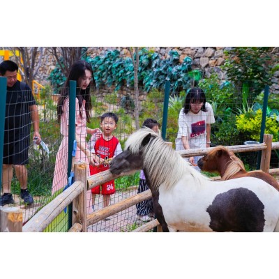 山东文旅·红叶柿岩旅游区图2