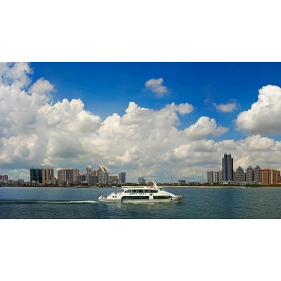 湛江红嘴鸥游船图3