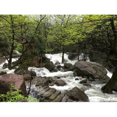 白云源Baiyunyuan
