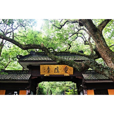 灵隐寺Lingyin Temple图5