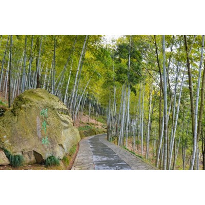千岛湖景区Thousand Island Lake图4