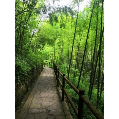 雪窦山Xuedou Mountain图4