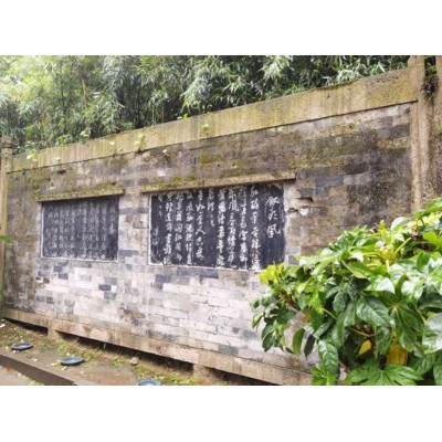 东湖East Lake图5