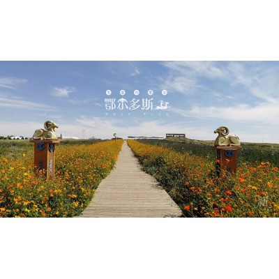 鄂尔多斯草原旅游区Ordos Grasslands Tourist Area图3
