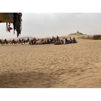 库布齐沙漠Kubuqi Desert图4