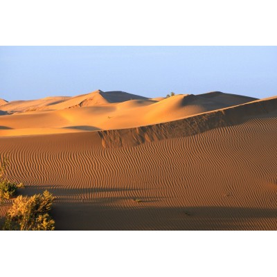 库布齐沙漠Kubuqi Desert图3