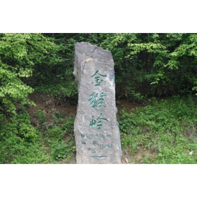 金猴岭Jinhou Mountain图3