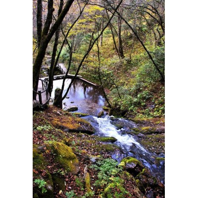 金猴岭Jinhou Mountain图2