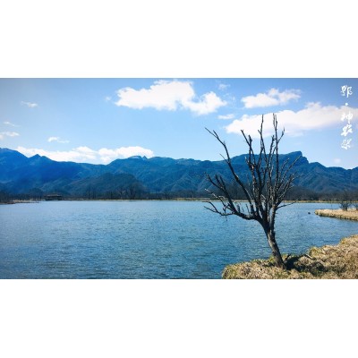 大九湖国家湿地公园Dajiuhu National Wetland Park图2