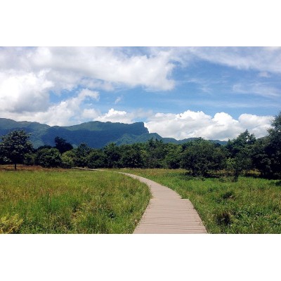 大九湖国家湿地公园Dajiuhu National Wetland Park图4