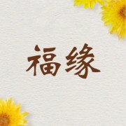 亳州市福缘中药材批发商行