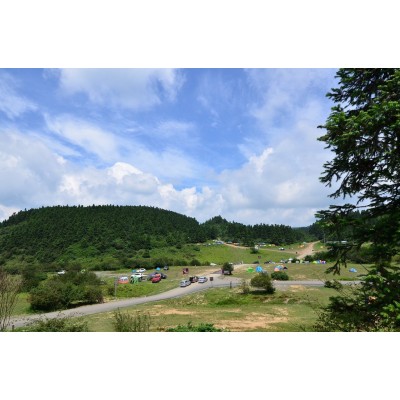 仙女山国家森林公园图3
