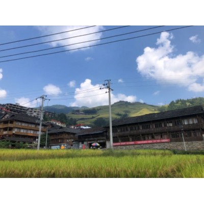 龙脊梯田图4