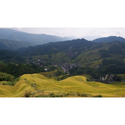 龙脊梯田图3