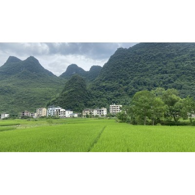 遇龙河景区