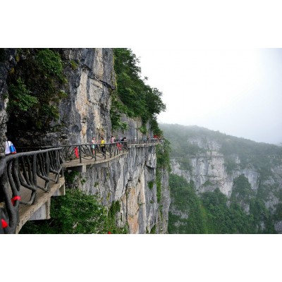 天门山国家森林公园图5