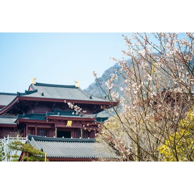 牛首山文化旅游区图4