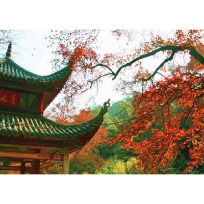 岳麓山风景名胜区图2