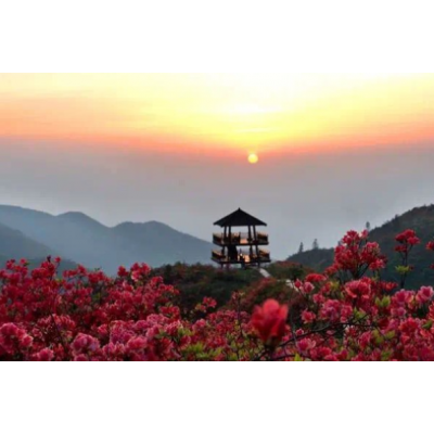 大围山国家森林公园图2