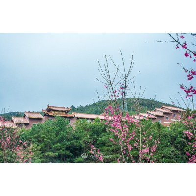 九鲤湖风景区图2