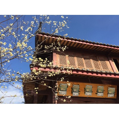 哈里谷图4