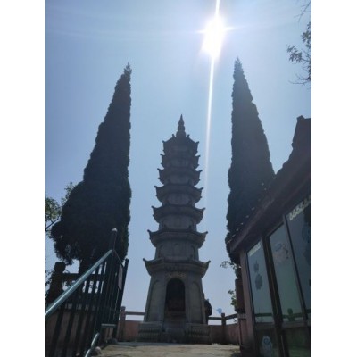 鄱阳湖国家级自然保护区图2