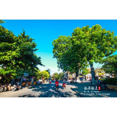 会安古城Hoi An Old Town图5