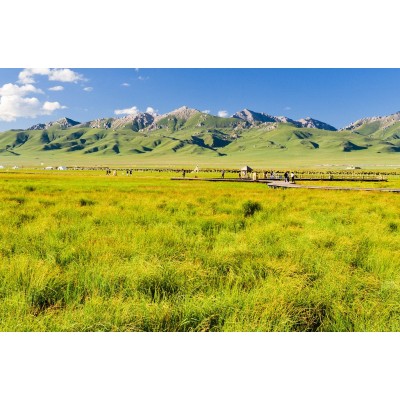 若尔盖花湖生态旅游区图3