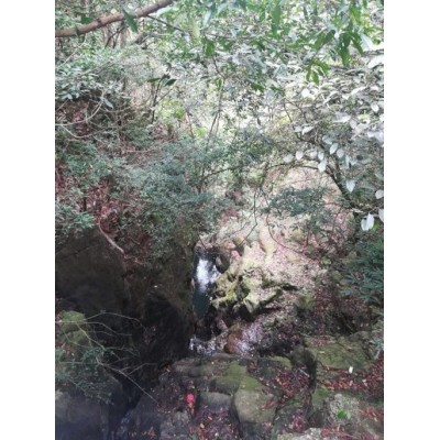 天马山生态旅游区图2
