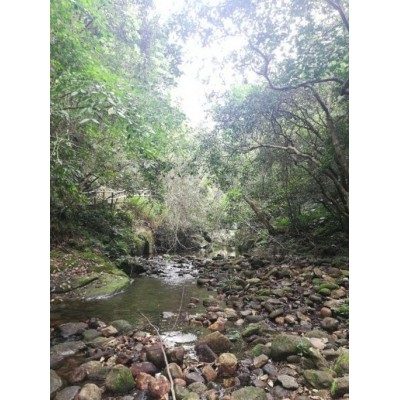 天马山生态旅游区