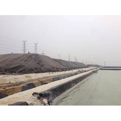 丹顶鹤湿地生态旅游区图3
